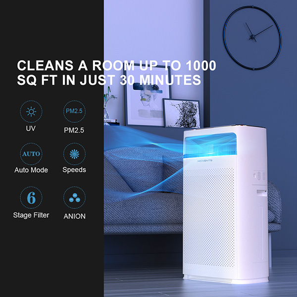 Ionizer Air Purifier