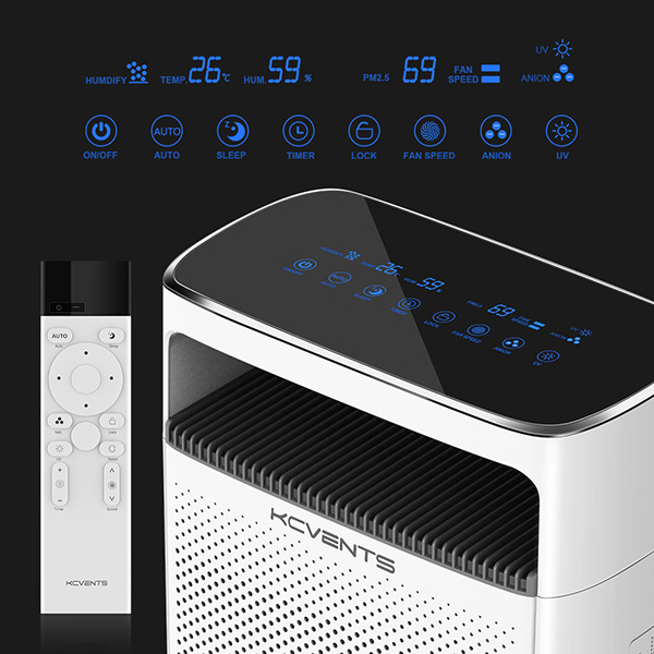 Ionizer Air Purifier