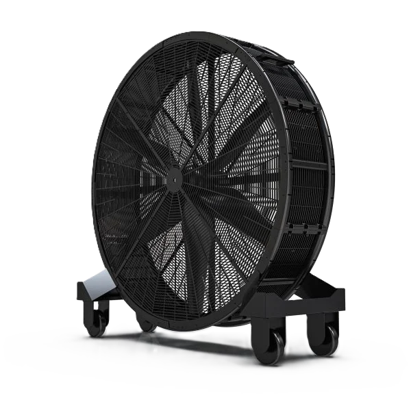 Portable blower