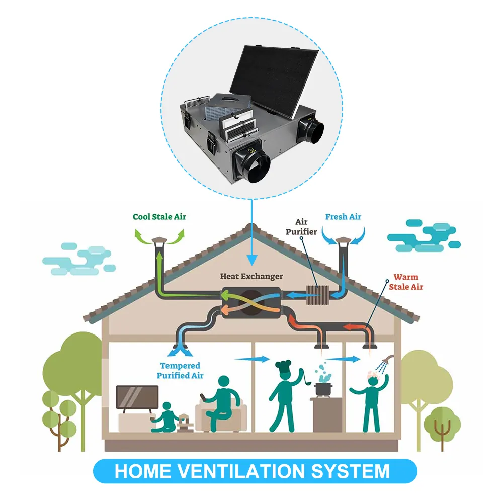 Heat recovery ventilator for wall mold prevention